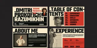 Digital Resume Presentation Template: Those InDesign Layouts are the Bold New Standard for Creative Professionals This digital resume presentation template by E-Type is ideal for outstanding job applications, especially for creative professionals like social media managers or graphic designers.