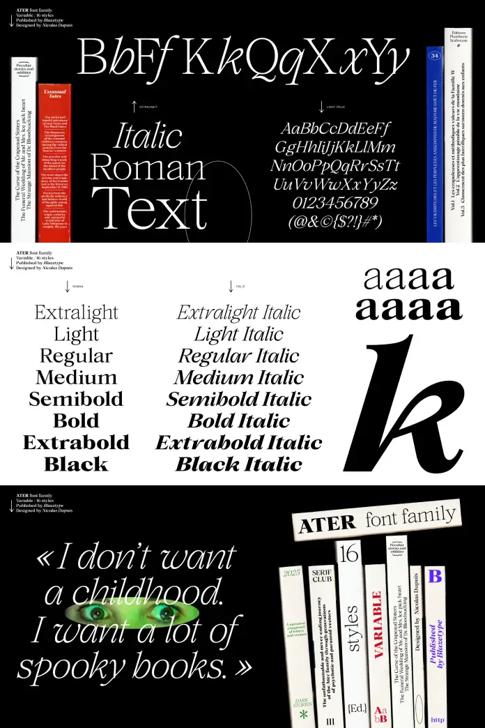 Ater Font Family by Blaze Type