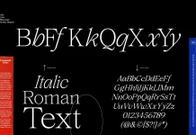 Ater Font Family by Blaze Type