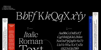 Ater Font Family by Blaze Type