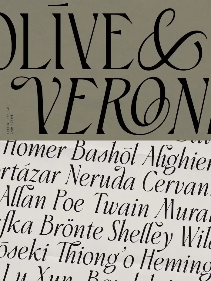 Aveline Typeface by CarmineType, a Versatile Hybrid Serif Font