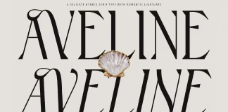 Aveline Font by CarmineType Aveline Typeface by CarmineType, a Versatile Hybrid Serif Font