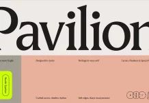 Pavilion Serif Font by God Control Pavilion Serif Font by God Control
