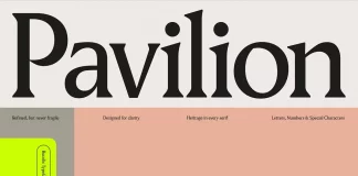 Pavilion Serif Font by God Control