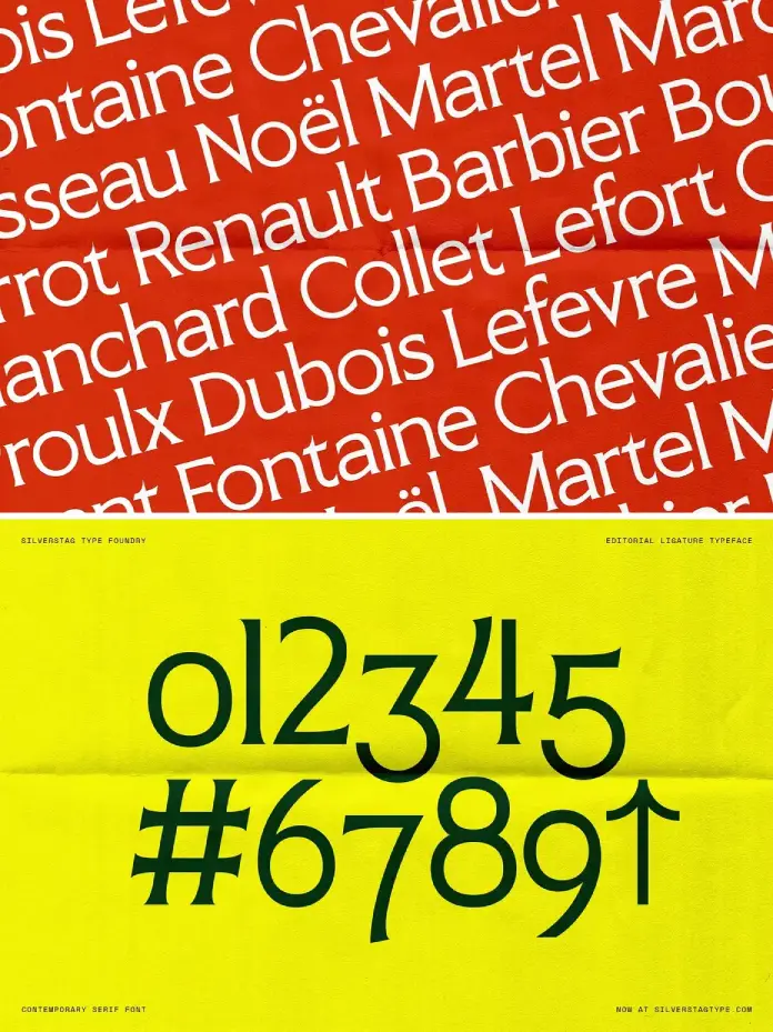 SLTF Arcilla Typeface by SilverStag Type Foundry