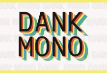 The Dank Mono Font by Phil Pluckthun is an Aesthetic Coding Typeface
