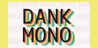 The Dank Mono Font by Phil Pluckthun is an Aesthetic Coding Typeface