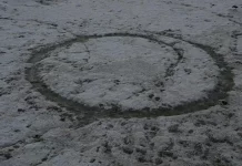 Photographer Alexis Vasilikos Captures the Sublime Decay of Leros Island in The Swamp (2025) The Swamp (2025), a photographic series made by Alexis Vasilikos in the wetlands of Leros Island.