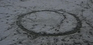 Photographer Alexis Vasilikos Captures the Sublime Decay of Leros Island in The Swamp (2025) The Swamp (2025), a photographic series made by Alexis Vasilikos in the wetlands of Leros Island.