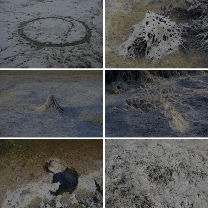 The Swamp (2025), a photographic series made by Alexis Vasilikos in the wetlands of Leros Island.