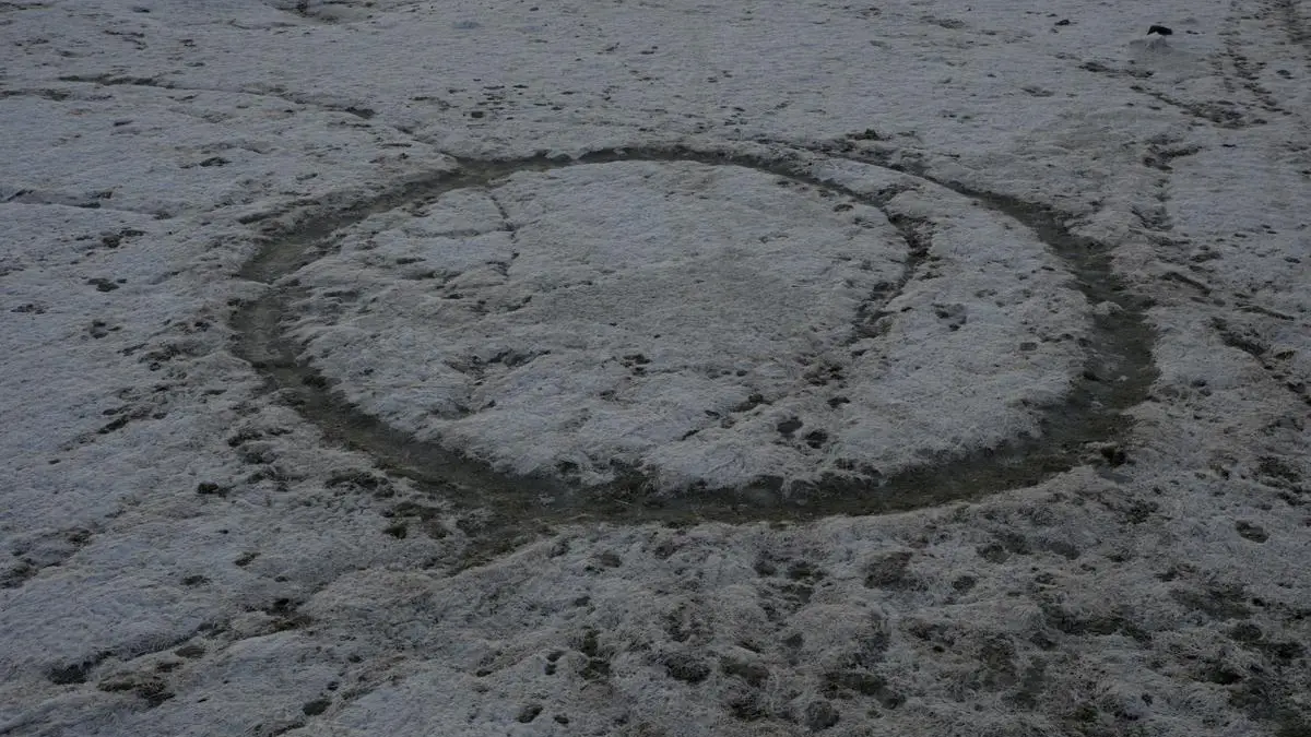 The Swamp (2025), a photographic series made by Alexis Vasilikos in the wetlands of Leros Island. The Swamp (2025), a photographic series made by Alexis Vasilikos in the wetlands of Leros Island.