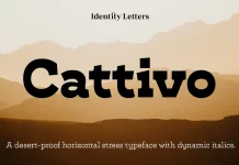 Cattivo Font Family by Identity Letters