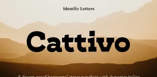 Cattivo Font Family by Identity Letters Cattivo Font Family by Identity Letters