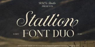 Stallion Font Duo by Suza Studio