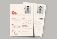 Adobe InDesign Resume and Cover Letter Template in A4 for Job Applications by Designcy Studio