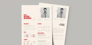 Adobe InDesign Resume and Cover Letter Template in A4 for Job Applications by Designcy Studio