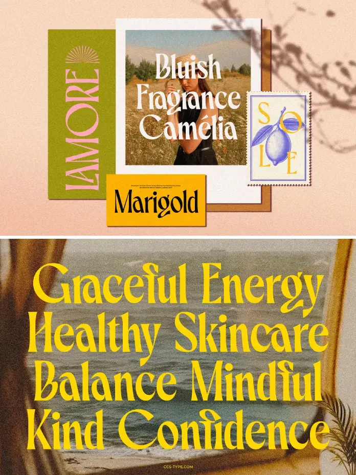 Belvare Font Family by Creative Corner