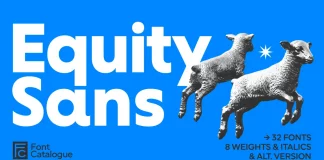 Equity Sans Font Family by Font Catalogue