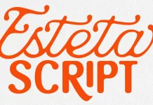 Esteta Script Font Duo by Letter Fresh Studio