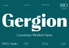Gergion Font Family by RCKY Studio Gergion Font Family by RCKY Studio