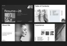 Interactive Resume Presentation Template by E-Type for Adobe InDesign